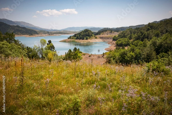 Fototapeta a meadow view of the lake of Metsovo, with forest, mountains and flowers