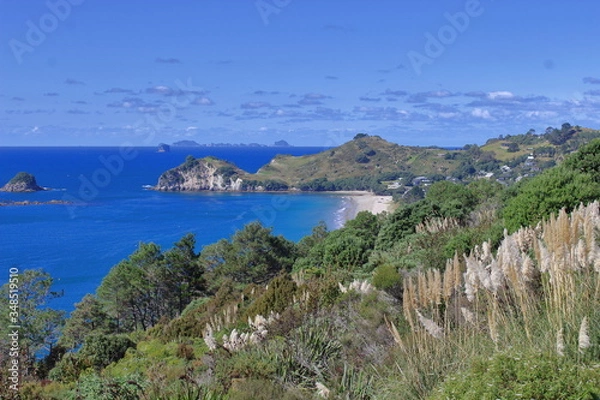 Obraz Ausblick auf Pazifik NZ