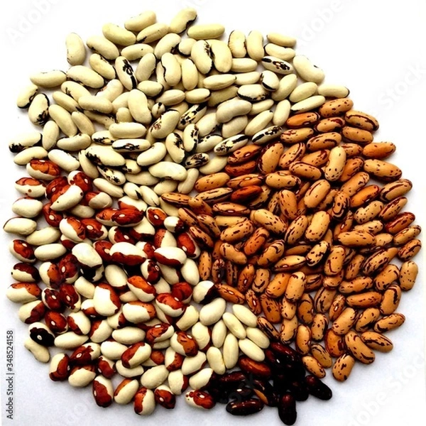 Fototapeta Beans of bean ( beans ). Background of many grains of dried beans. Сolored beans texture. Food background. Close up. Bean background and textured. Background of colored beans. Brazilian diet snack foo