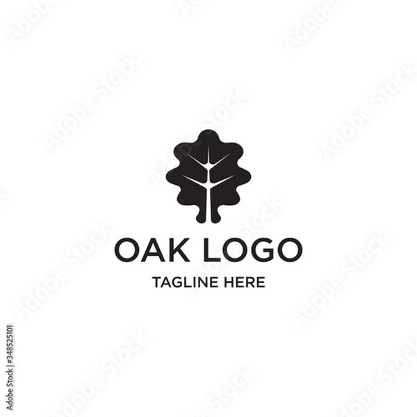 Obraz Oak logo design template, vector illustration