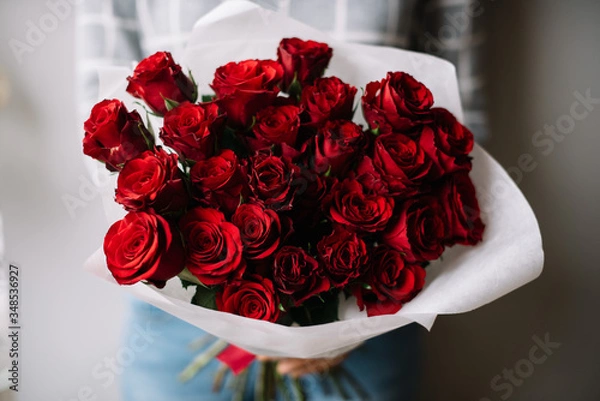 Fototapeta Very nice young woman holding big beautiful blossoming mono bouquet of fresh red roses wrapped in white paper on the grey wall background
