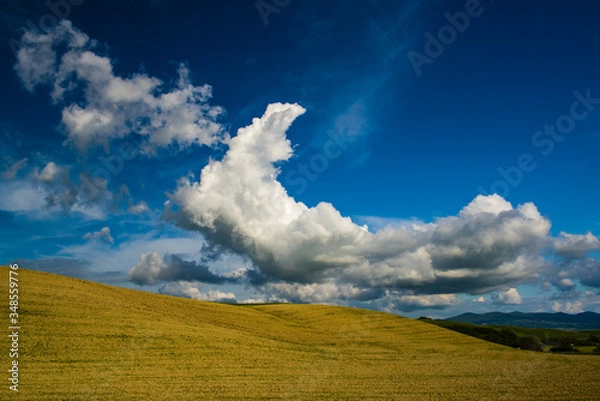 Obraz Tuscan landscape