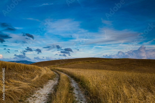 Obraz road through the field
