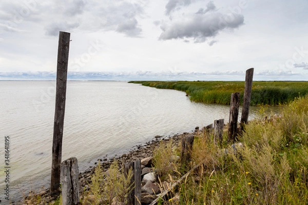 Fototapeta An Old Fenchline Along the Shores of A Lake in Canada