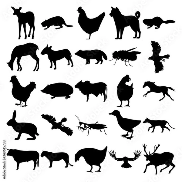 Obraz Set of 25 animals. Elk, Beaver, Chicken, Dog, Deer, Bullterrier, Racoon Dog, Housefly, Goshawk, Hedgehog, Bull, Horse, Rabbit, Praying Mantis, Duck, Thylacine, Lion, Raven, Deer.