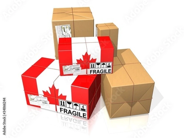 Obraz SPEDIZIONE CANADA