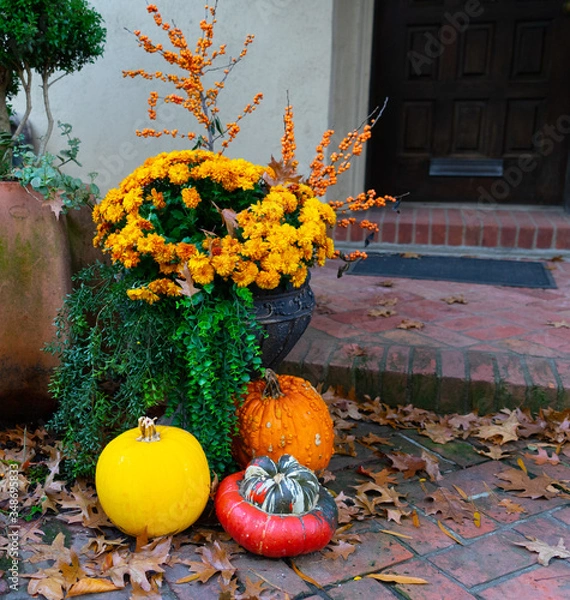 Fototapeta Three different colored pumpkins in an entryway, underneath yellow flowers in a pot