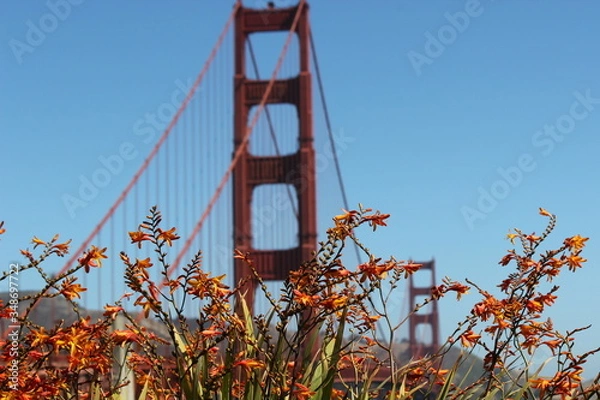 Fototapeta red bridge with closeup of some beautiful flowers