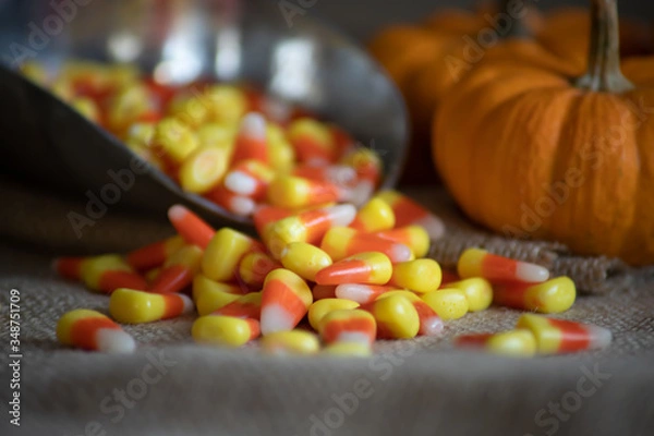 Fototapeta halloween corn
