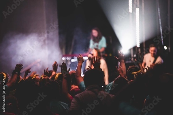 Obraz crowd of people dancing at concert