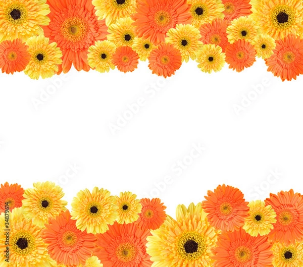 Obraz Yellow and orange daisy frame