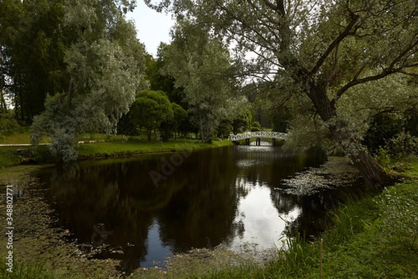 Obraz Beautifull pond in Puskin's motherland Mikhailovskoe. Green park with a small lake and white arch bridge. Water reflects trees and sky