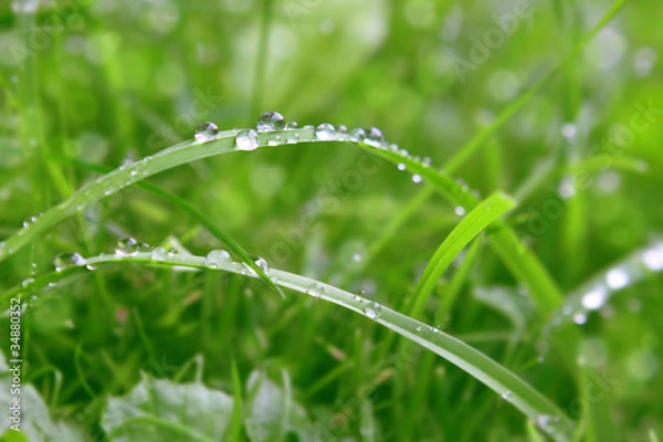 Fototapeta Regentropfen