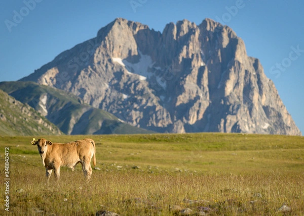 Obraz Corno Grande, Gran Sasso