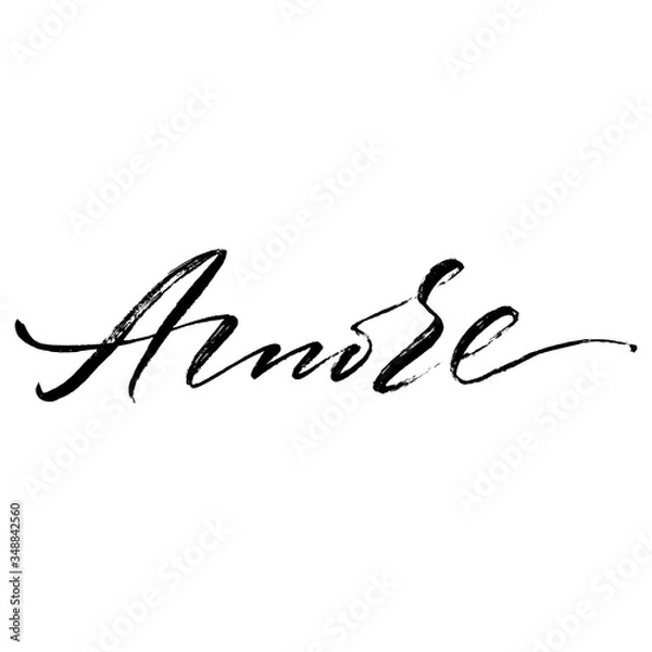Fototapeta Word in Italian which means "Love", handwritten text vector script ink brush 