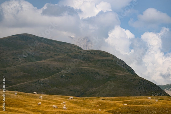 Obraz Campo Imperatore