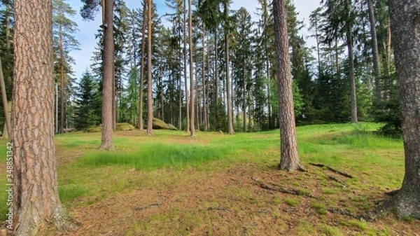 Obraz Berge Stein Natur 