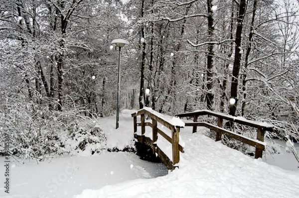 Obraz Amelisweerd park under snow