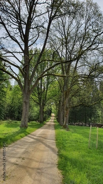 Obraz Berge Stein Natur 