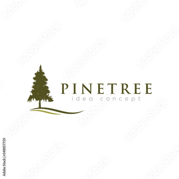Obraz Pines Tree Logo Design Template