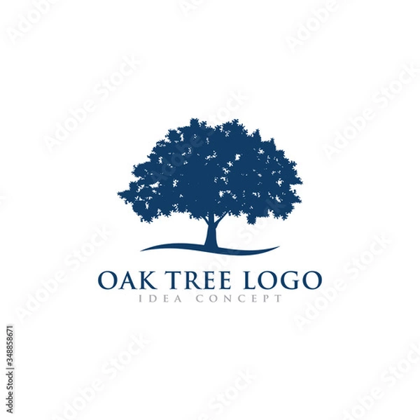 Obraz Oak Tree Logo Design Template