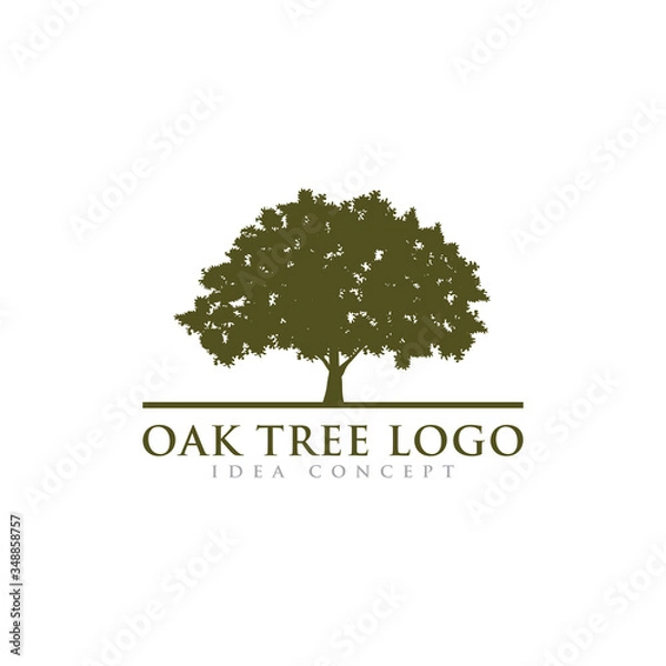 Obraz Oak Tree Logo Design Template