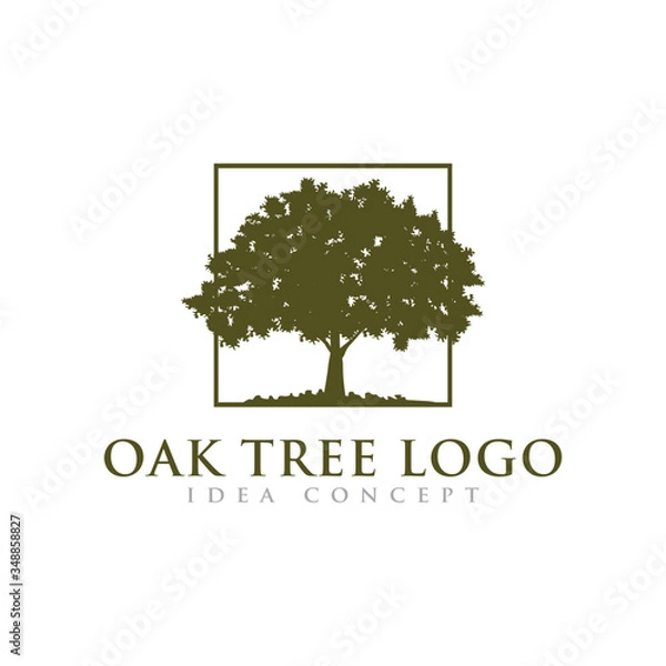 Obraz Oak Tree Logo Design Template
