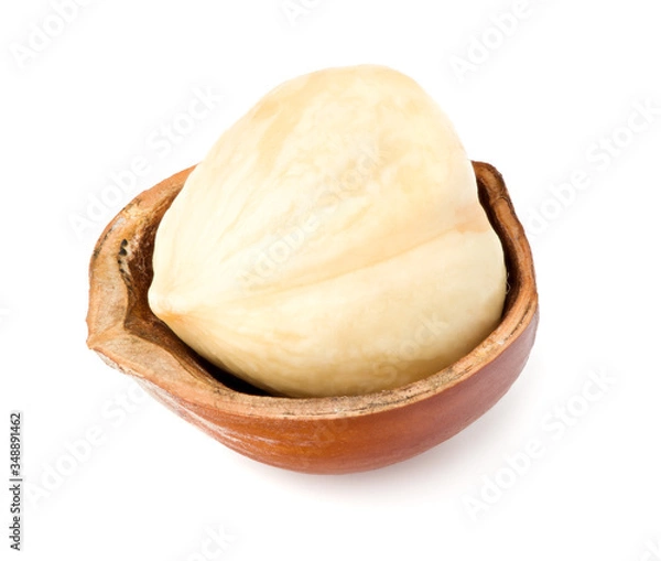 Fototapeta hazelnut isolated on white background macro