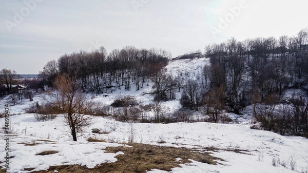 Obraz winter landscape with trees with snow 
