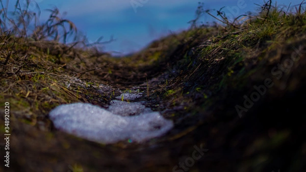 Obraz snow on grass close up in winter