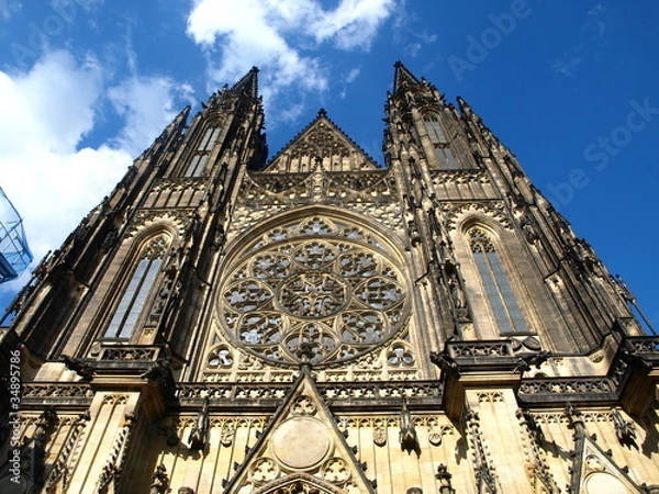 Obraz OLYMPUS DIGITAL CAMERA