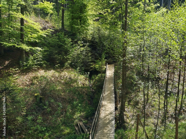 Fototapeta Landscape