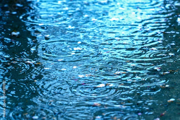 Obraz 波紋の出来た水溜まり