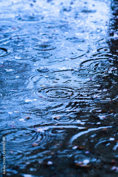 Obraz 波紋の出来た水溜まり
