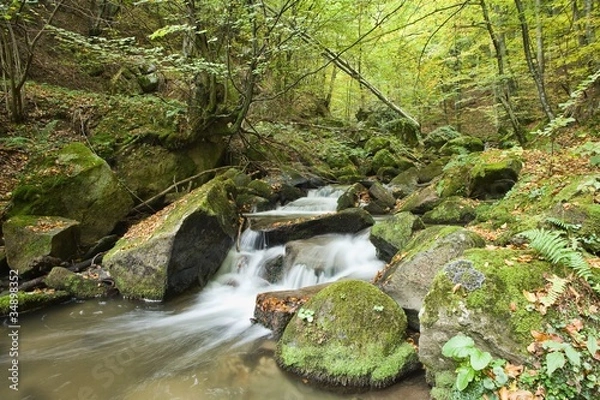 Obraz Mountain Water