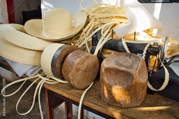 Obraz sombrero de pindo