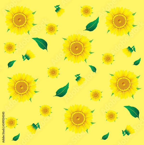 Obraz Sunflowers Background with leaves