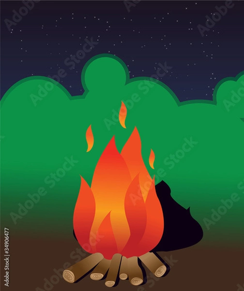 Obraz Camping fire