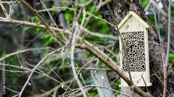 Obraz bees in the hive