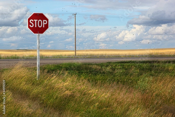 Obraz Rural stop sign on the prairies