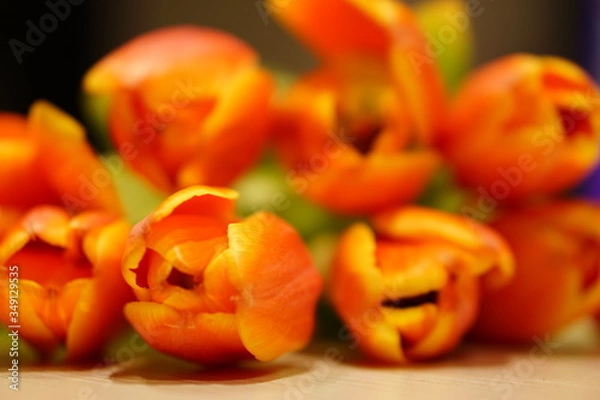 Obraz orange bell peppers