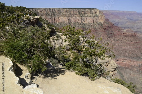 Obraz flowing greens