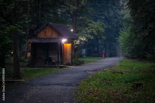 Obraz road in the forest