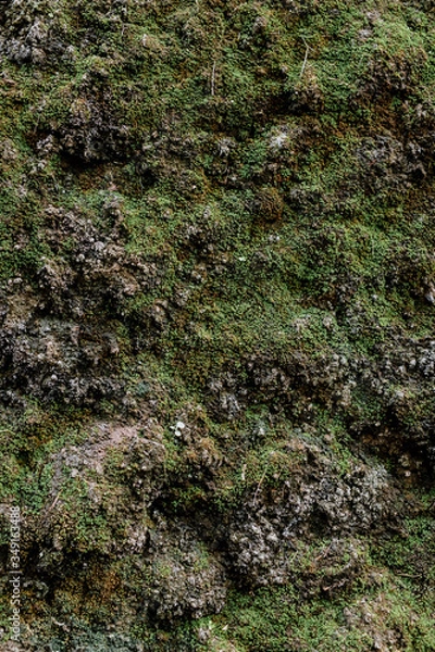 Fototapeta Old dirty wall uneven, moss effect texture. Vintage or grungy white background of natural cement & stone texture as retro pattern wall. It is a concept design. Metaphor banner, rust or construction.