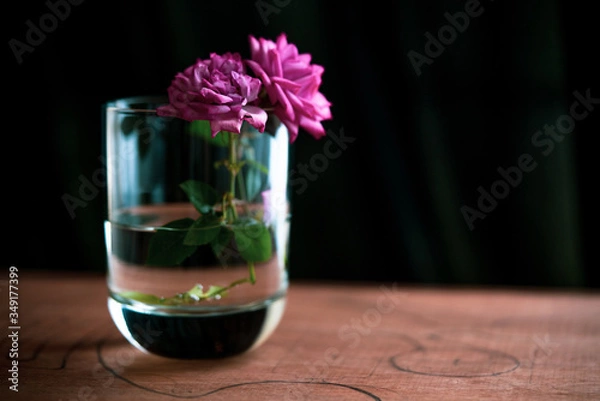 Obraz flower in glass