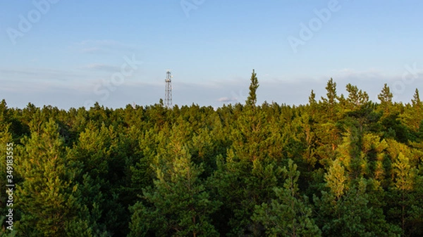 Fototapeta Green forest view and electricity tower