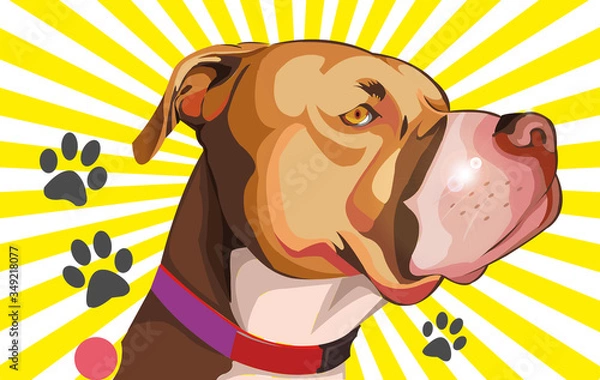 Obraz PORTRAIT CHIEN