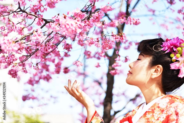 Obraz 日本庭園の桜の花と色打掛を着た女性