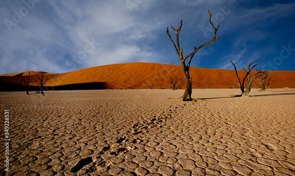 Obraz sossusvlei namibia, desert landscape