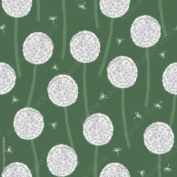 Fototapeta Cute vector pattern with dandelion seed heads
